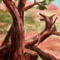 Sprout, Gnarled Junipers, Sedona. Watercolor