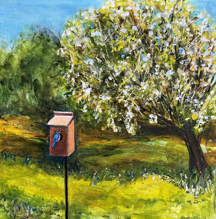 New Home? AurellePurdySprout