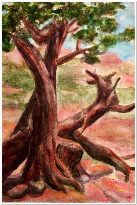 Sprout, Gnarled Junipers, Sedona. Watercolor