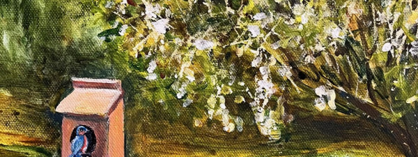 AurellePurdySprout.com